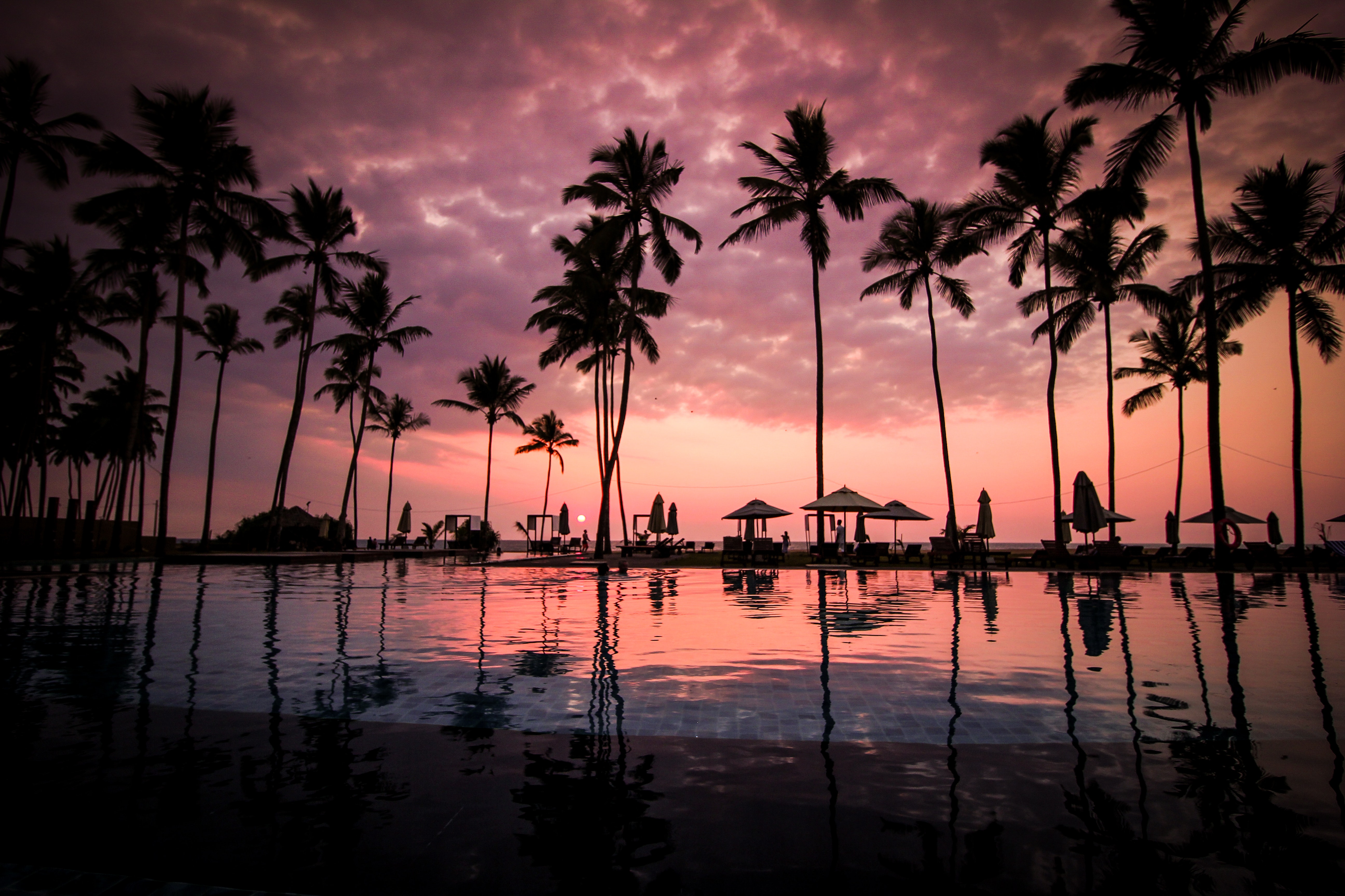 Silhouette Of Palm Trees At Night